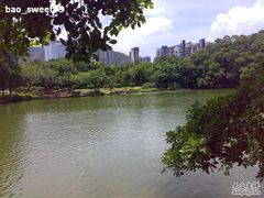 -四海公园(南山区)