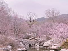 -香山公园