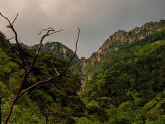 -泰山风景名胜区