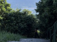 -梧桐山风景名胜区