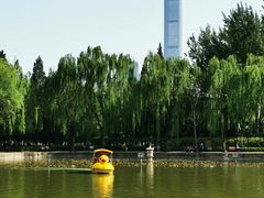 -团结湖公园
