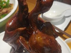 -大鸽饭(马王堆店)