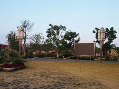 -上海长兴岛郊野公园