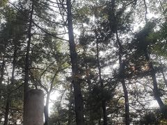 -沈阳植物园