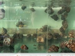 -兆辉木炭海鲜烧烤·海鲜小炒