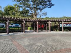 -大屏嶂森林公园