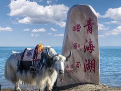 -青海湖国家重点风景名胜区