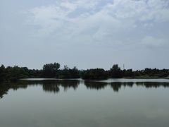 -日照海滨国家森林公园