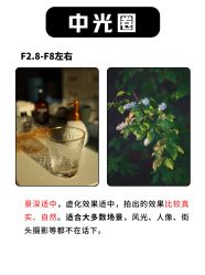 -WAVE SODA摄影工作室