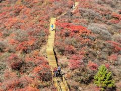 -水峪民俗村