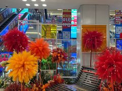 -红星美凯龙北京至尊MALL(东四环中路店)