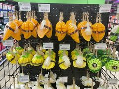 -芽庄中心购物广场