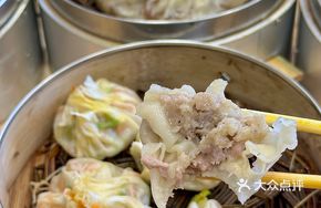 Fresh Meat Dumplings