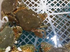 -盒马鲜生(曜一城店)