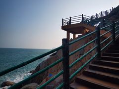 -广东惠东海龟国家级自然保护区