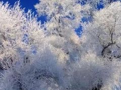 -长春莲花山滑雪场