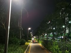 -海沧湾公园
