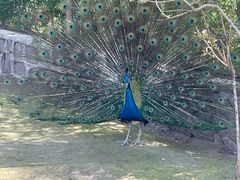 -哈尔滨北方森林动物园