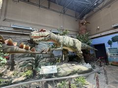 -国家自然博物馆