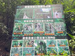 -西双版纳原始森林公园