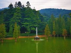-广州市帽峰山景区