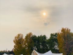 -安德鲁户外烧烤帐篷营地(马泉营店)