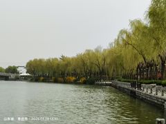 -微山岛春天里酒家