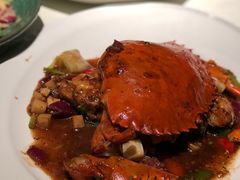 -皇朝会.经典传统粤菜(外滩店)