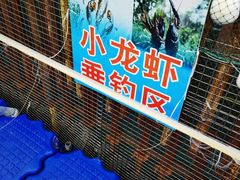 -菊园百果园