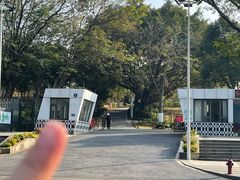 -东莞植物园