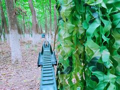 -亲兄弟真人CS团建拓展基地