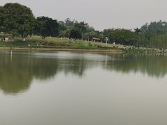 -东莞植物园
