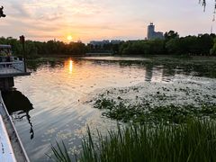 -长春市南湖公园