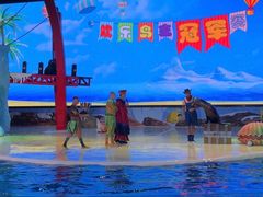 -三亚海昌梦幻海洋不夜城