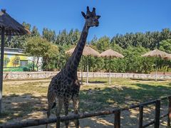 -北京野生动物园