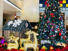 -苏州西交利物浦大学国际会议中心