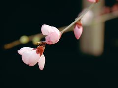 -三里河公园