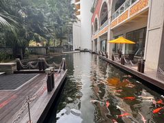 -Waterfall瀑布湾优健源(华侨城店)