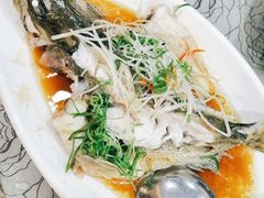 清蒸桂花鱼-佳宴美食连锁(丰泽店)