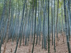 -穹窿山景区