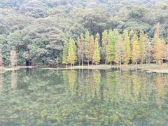 -广州市石门国家森林公园