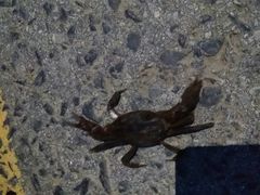 -山王坪喀斯特国家生态公园