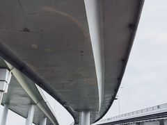 -深圳湾公园(南山区)