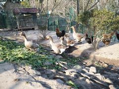 -不觉晓CAMPING(上海迪士尼营地店)