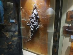 -辽宁古生物博物馆