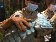 -侏罗纪世界电影特展(广州站)