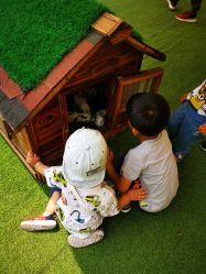 -萌宠亲子动物乐园(槐房万达店)