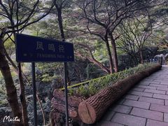 -梧桐山风景名胜区
