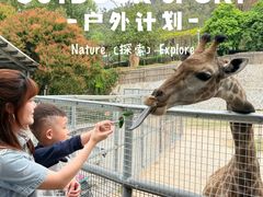 -泉州海丝野生动物世界