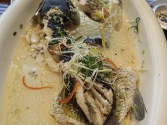 -龙悦湾酒家·八阵鱼生·渔人码头店